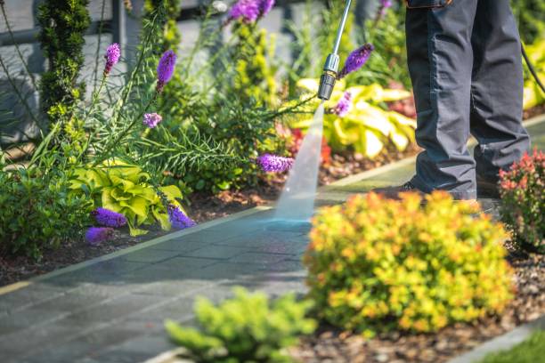 Trusted Waterville, OH Pressure Washing Experts
